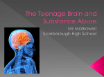 Drugs and Teen Brain_12