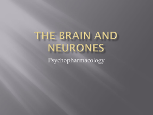 Structure and Function of the Central Nervous System