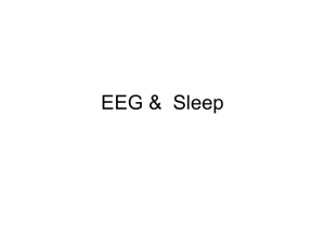EEG & Sleep