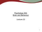 Neuron death - UBC Psychology`s Research Labs