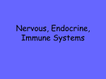 Nervous, Endocrine, Immune Systems