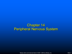 Chapter 7 Body Systems