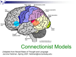 Connectionist Models: Basics