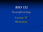 Lecture 35 (Motivation)
