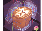 BLoA Neurotransmission