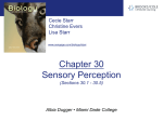 chapter30_Sensory Perception(1