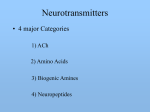 Central Nervous System