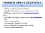 Damage to the frontal lobes can lead to