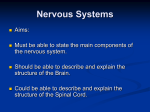 Nervous Systems - manorlakesscience