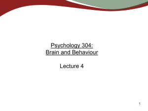 Peripheral Nervous System - UBC Psychology`s Research Labs