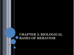 chapter 3: biological bases of behavior