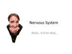 Nervous System