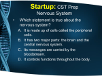 Startup: CST Prep Nervous System