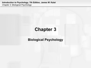 Introduction to Psychology, 7th Edition, James W. Kalat Chapter 3