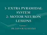 extra pyramidal system - Mcst