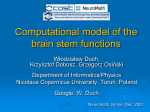 Computational model of the brain stem functions