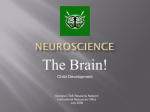 Neuroscience - Instructional Resources