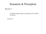 Review 2 - Texas A&M University