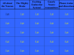 jeopardy bio psych review