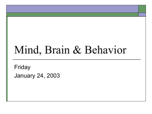 Mind, Brain & Behavior