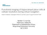 Functional imaging of hippocampal palace cells at celluar resolution