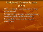 Cranial Nerve I