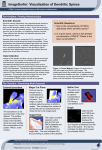 ImageSurfer: Visualization of Dendritic Spines