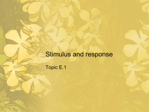 Stimulus and response