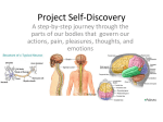 Project Self-Discovery