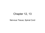 Chapter 13 and 16