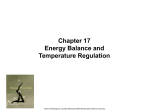 17.Energy balance-Temp Regulation