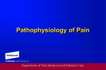 PathophysiologyofPain23