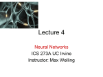 NeuralNets273ASpring09