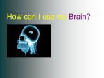 brain1