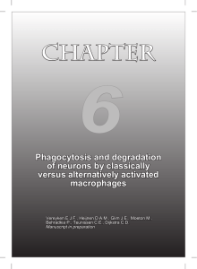 6 CHAPTER Phagocytosis and degradation of neurons by classically