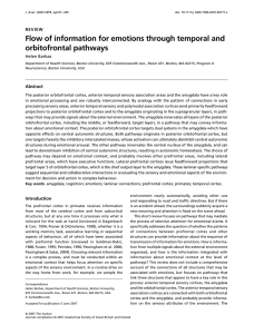 Flow of information for emotions through temporal and orbitofrontal pathways REVIEW