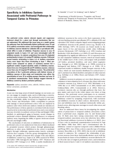 Specificity in Inhibitory Systems Associated with Prefrontal Pathways to