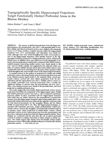 Topographically Specific Hippocampal Projections Target Functionally Distinct Prefrontal Areas in the