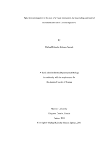 Spike train propagation in the axon of a visual interneuron,... Locusta migratoria