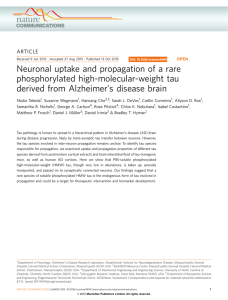 Neuronal uptake and propagation of a rare phosphorylated high-molecular-weight tau