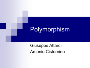 Polymorphism