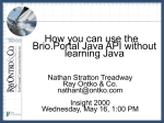 How you can use the Brio.Portal Java API without