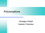 Polymorphism