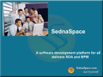 SednaSpace A software development platform for all delivers SOA