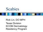 Scabies - A.T. Still University