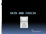 Skin & Fascia - MBBS Students Club