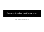 Generalidades de Endocrino