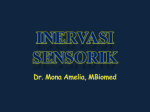 Inervasi Sensorik Perifer