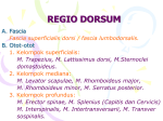 REGIO DORSUM