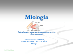 7. Miología - Departamento de Ciclos Formativos